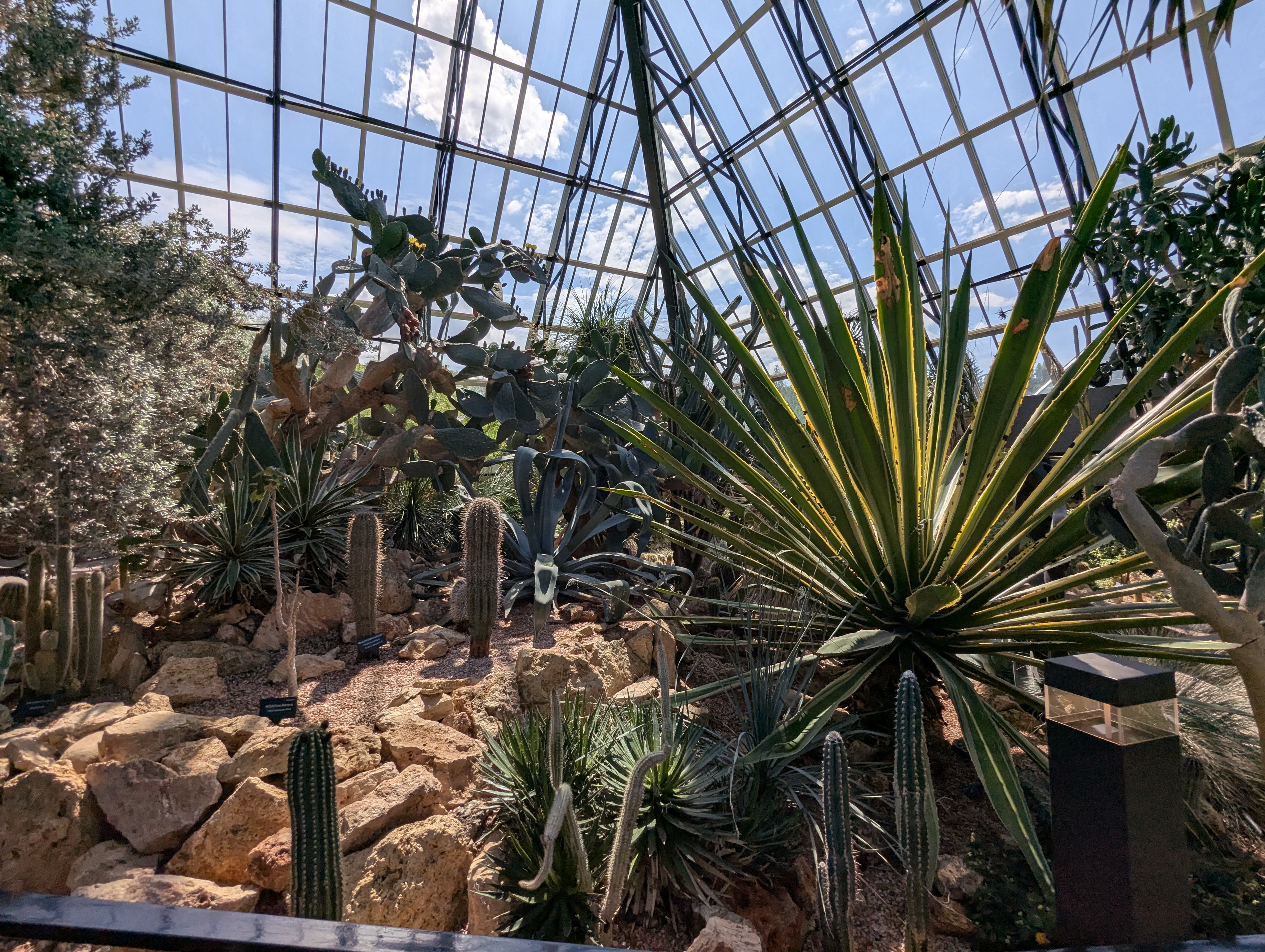 Birthday Trip to Canada, Edmonton, Pyramids, Muttart Observatory